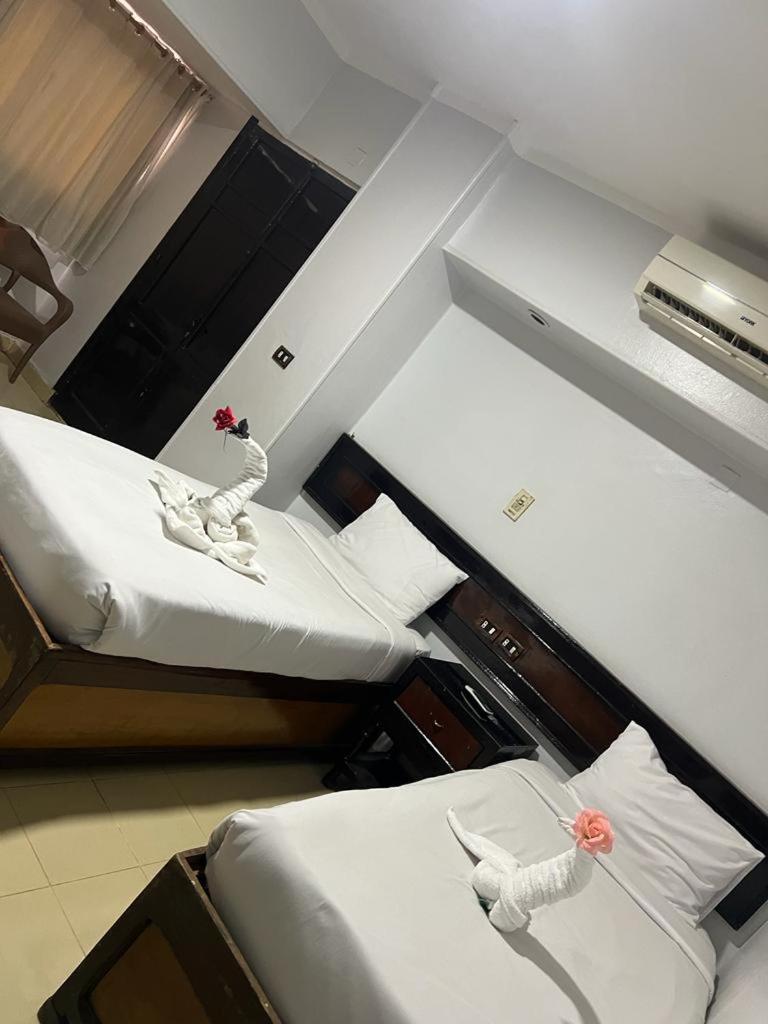 אסואן Oscar Hotel מראה חיצוני תמונה